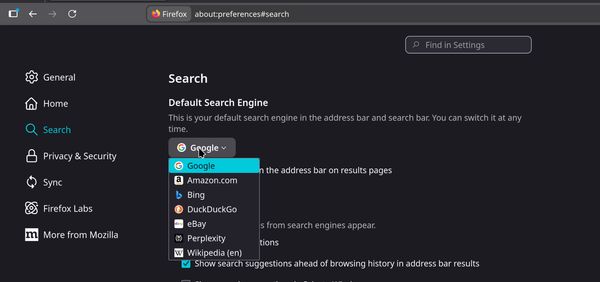 Perplexity search engine