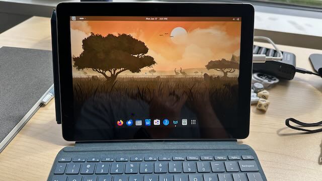 Surface Go Showing the Bluefin Desktop